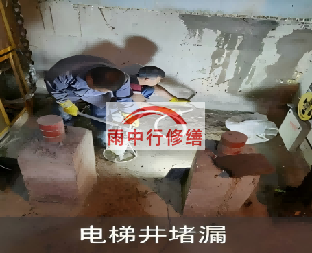 日照星雨华府电梯井堵漏案例